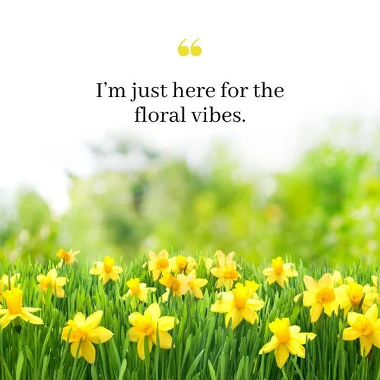 Cute and Funny Short Flower Quotes