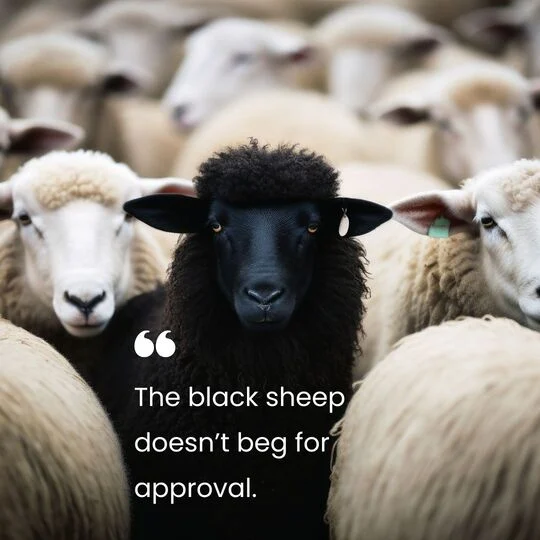 Dreadful Black Sheep Quotes with Attitude
