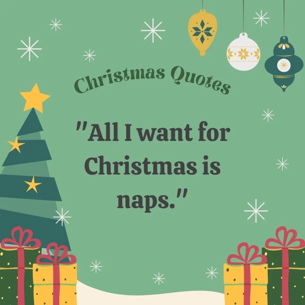 Funny Christmas Quotes