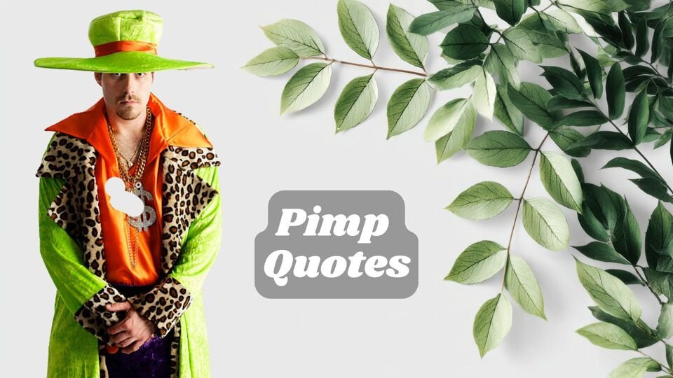 Pimp Quotes