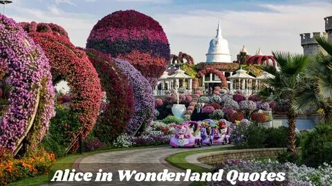 Alice in Wonderland Quotes