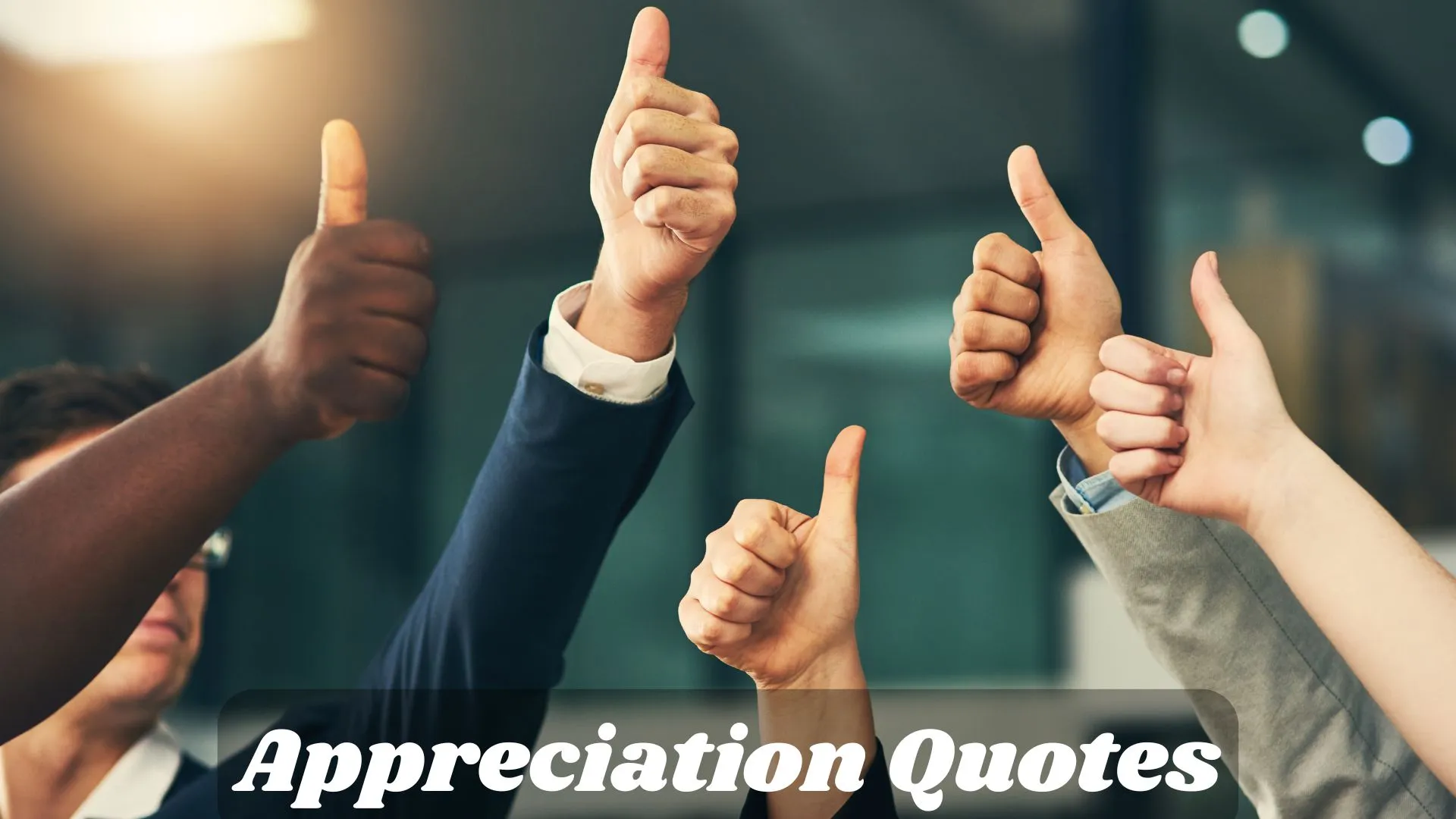 Appreciation Quotes