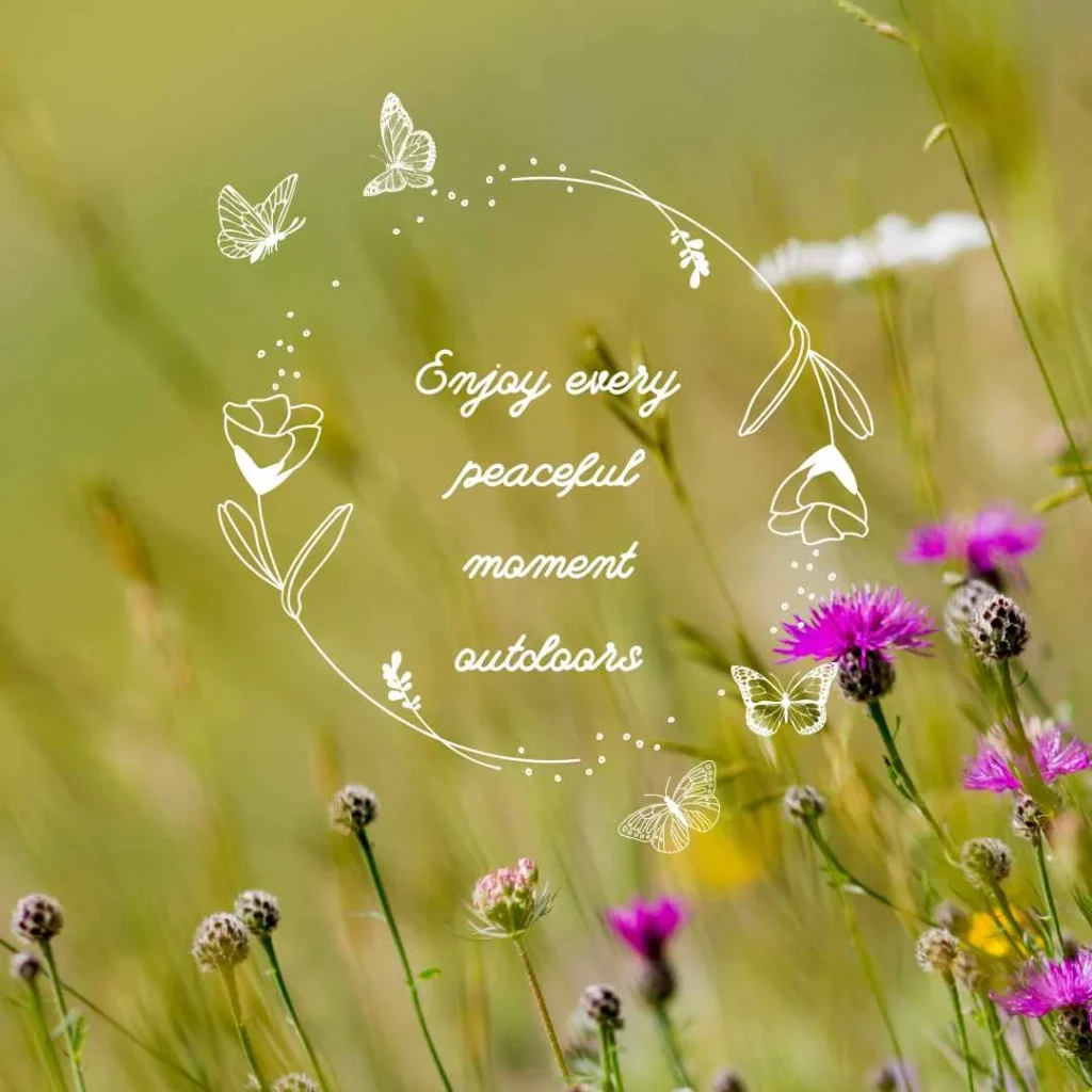 Enjoying Nature Quotes