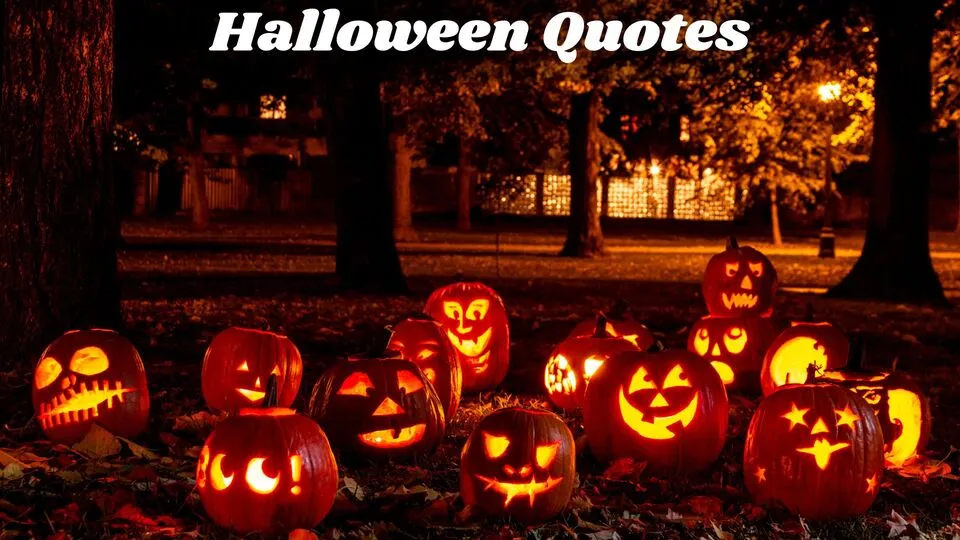 Halloween Quotes