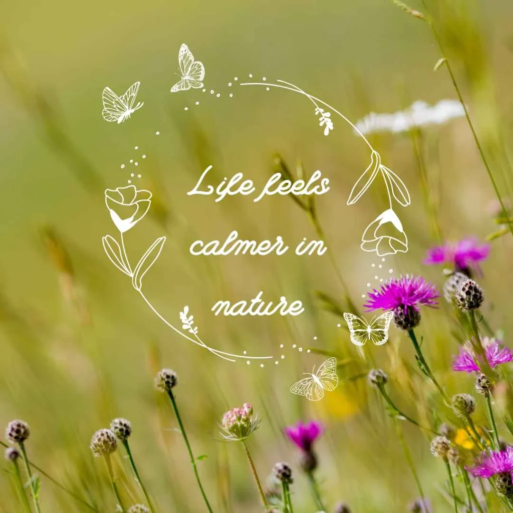Nature Quotes About Life