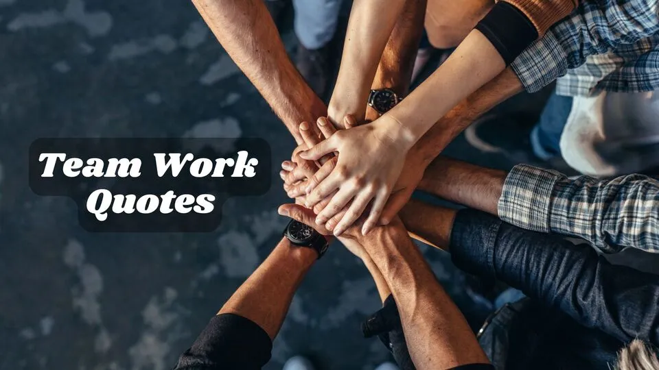 Team Work Quotes