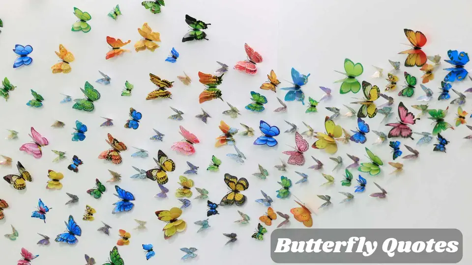 128+ Charming Butterfly Quotes That Spark Joy