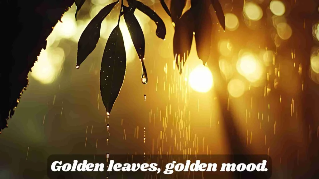 Fall Quotes for Instagram and Aesthetic Vibes