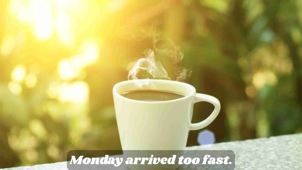 Funny Monday Morning Quotes