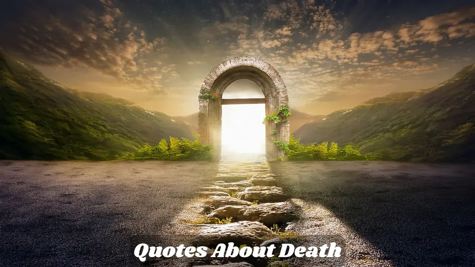 150+ Honest Quotes About Death to Accept Life’s Journey