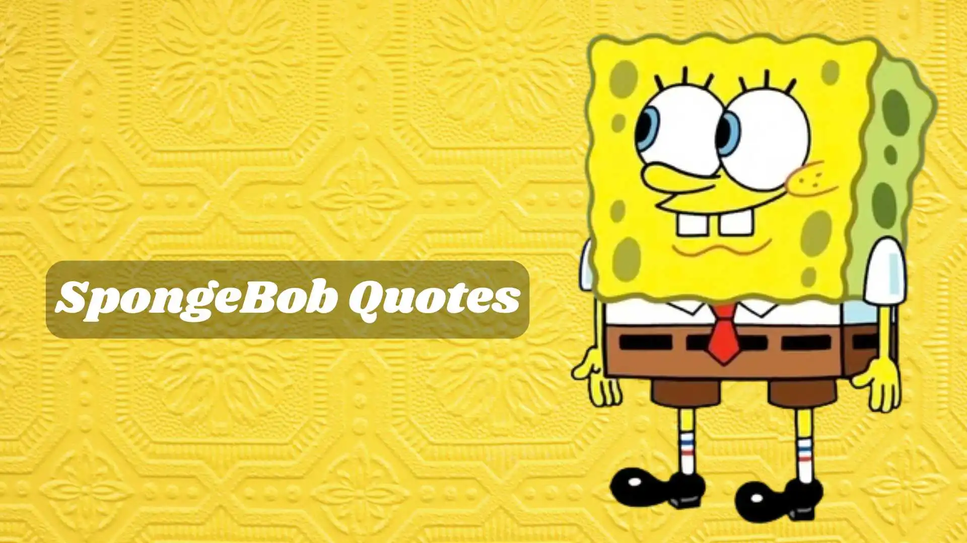167+ Funniest SpongeBob Quotes You Need to Read