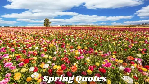 112+ Best Spring Quotes That Bring Fresh Joy & Positivity in 2026