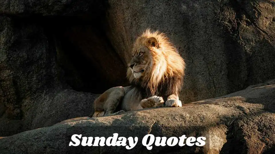 Sunday Quotes