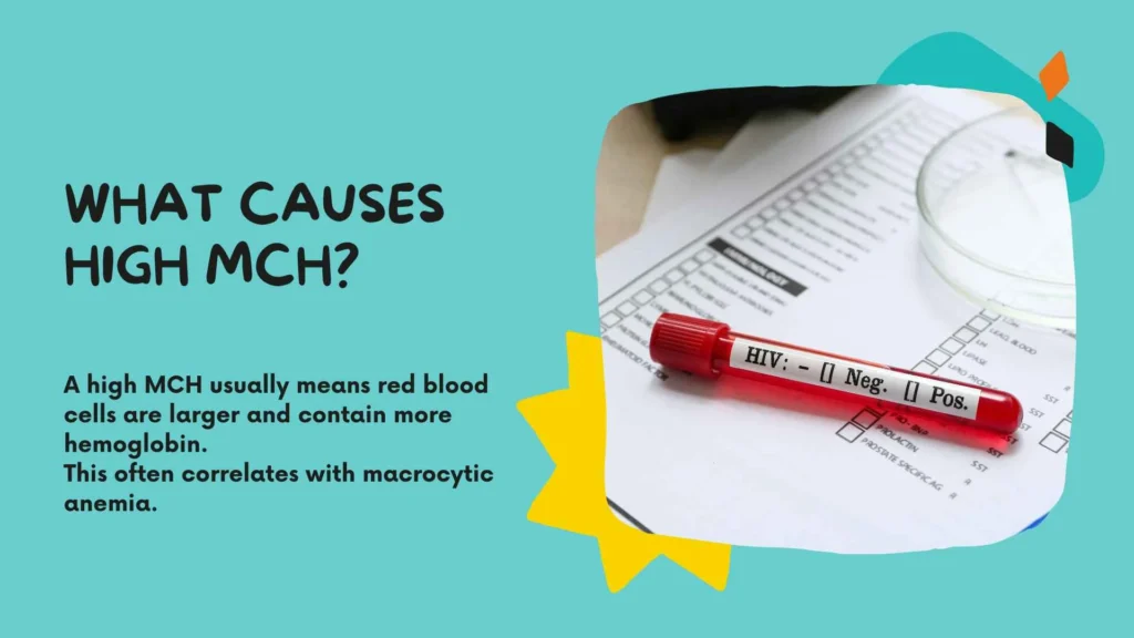 What Causes High MCH?