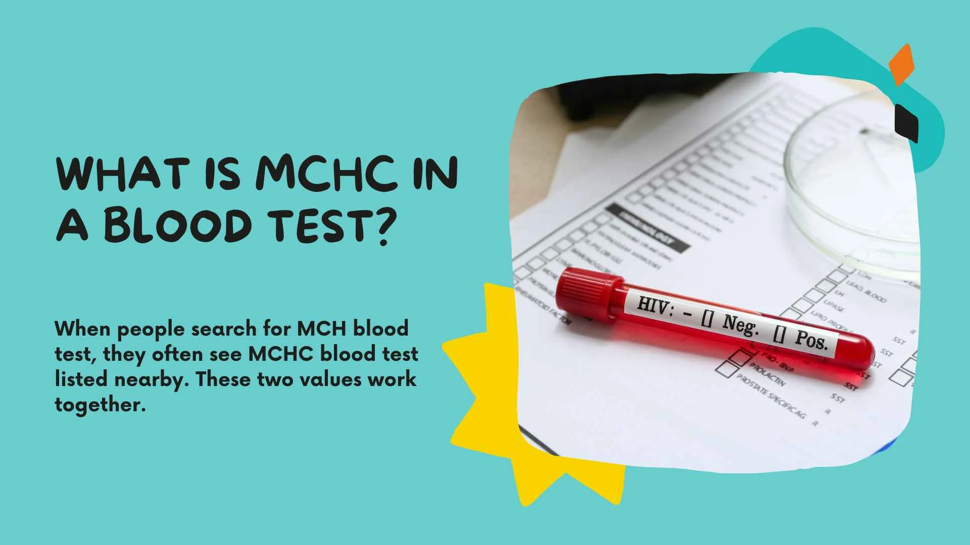 What Does MCH Mean in a Blood Test? A Complete Guide to MCH, MCHC, and CBC Results