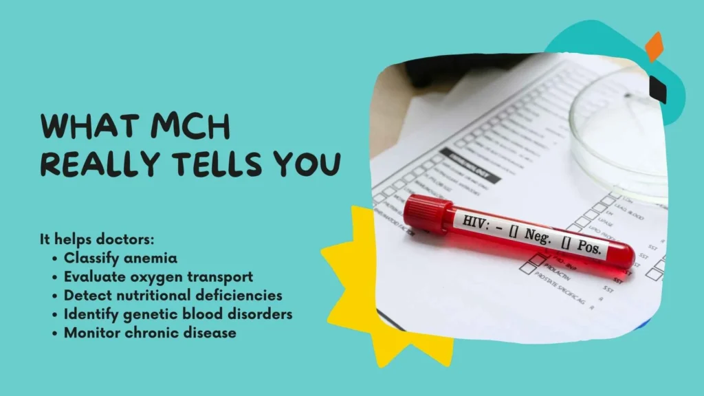 What MCH Really Tells You