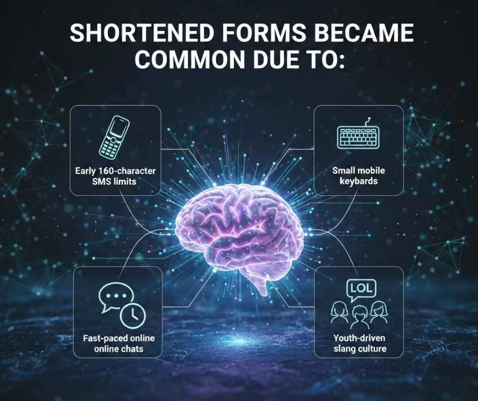 Why It Became Popular