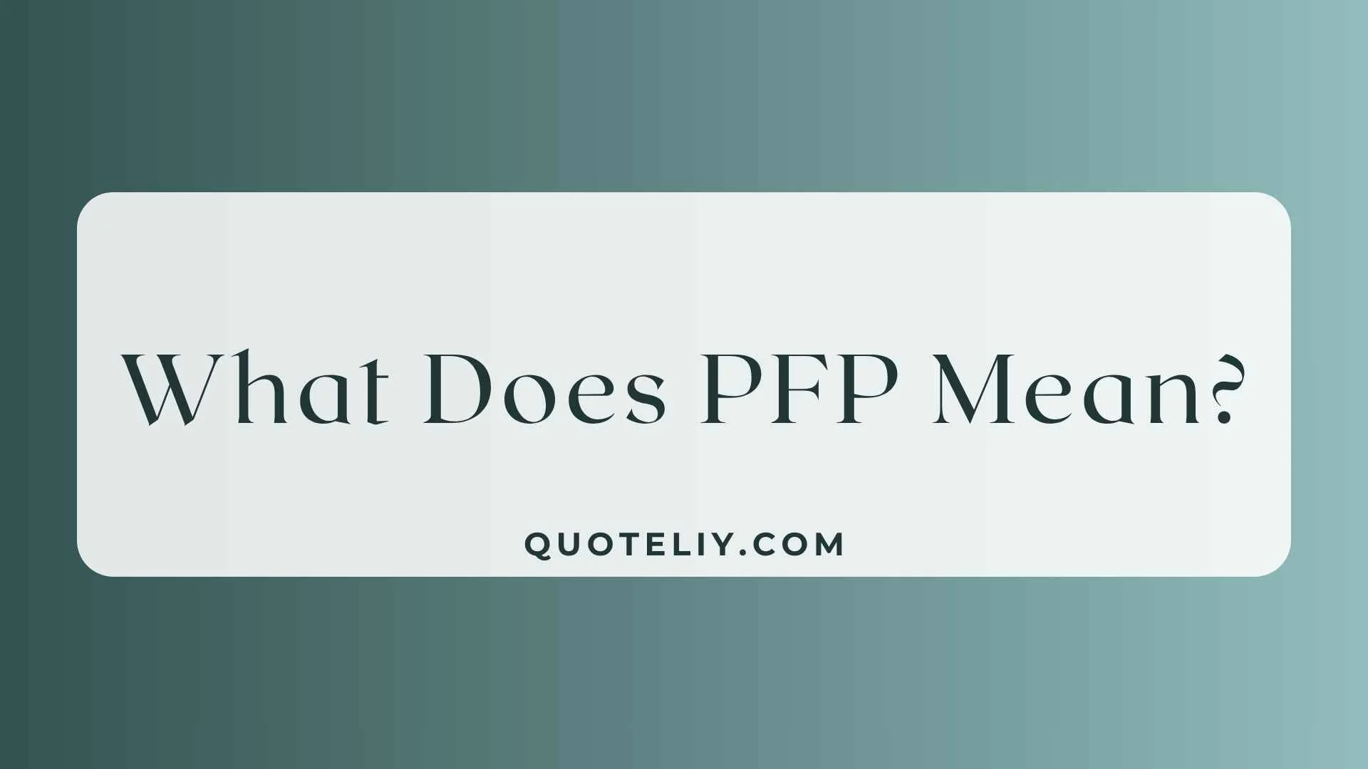 What Does PFP Mean